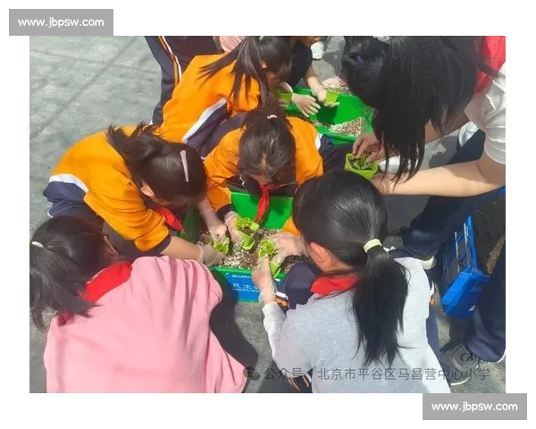 剥豆子比赛：感受传统农事乐趣，体验速度与技巧的完美较量