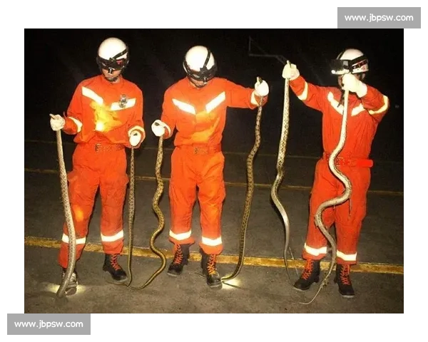 大蛇竞技盛宴：巨型蛇类勇者争霸赛全景揭秘