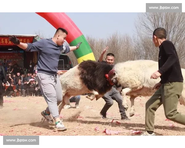 斗阴比赛精彩瞬间全记录及选手策略解析深度报道