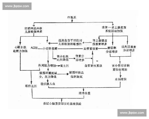 比赛时出现生理反应的心理机制及应对策略探讨